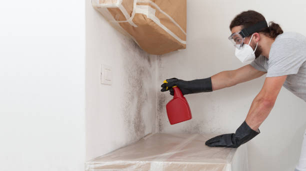 Professional Commercial Mold Remediation technician working in West Newton, MA