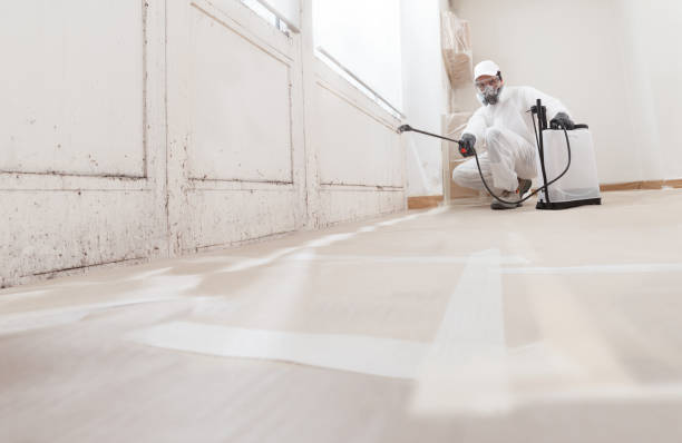 24/7 Emergency Commercial Mold Remediation experts in West Newton, MA