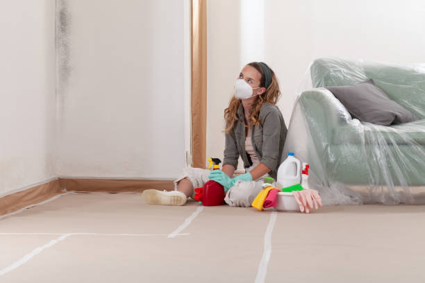 Reliable Commercial Mold Remediation contractor in West Newton, MA by 24 Hour Mold Removal