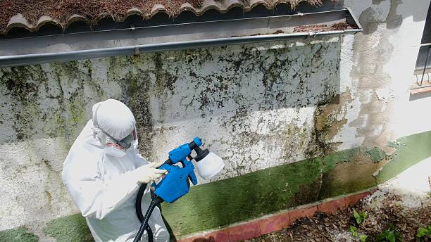 Top rated local Commercial Mold Remediation specialists in West Newton, MA
